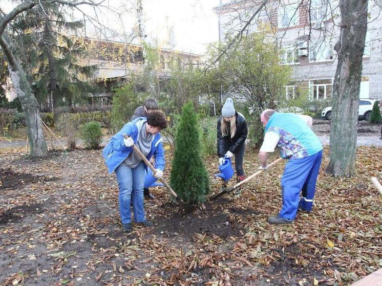 В Педагогическом сквере Рязани высадили туи, можжевельник и декоративные яблони