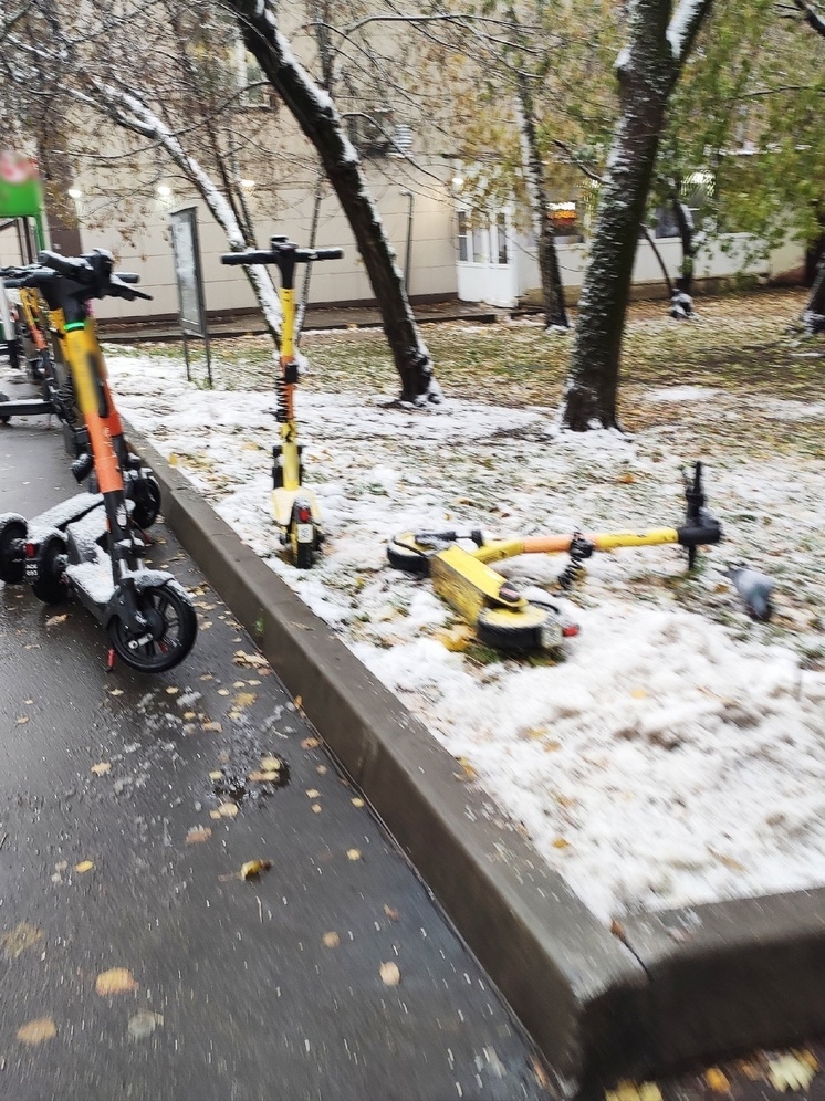 Для тверских пешеходов и автомобилистов наступил самый опасный сезон