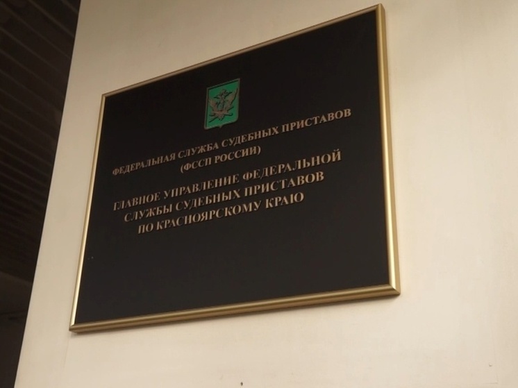 Приставы опровергли предложение матери из Красноярска пойти на СВО