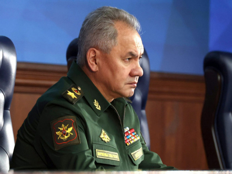 Шойгу заявил о продвижении российских военных в зоне СВО