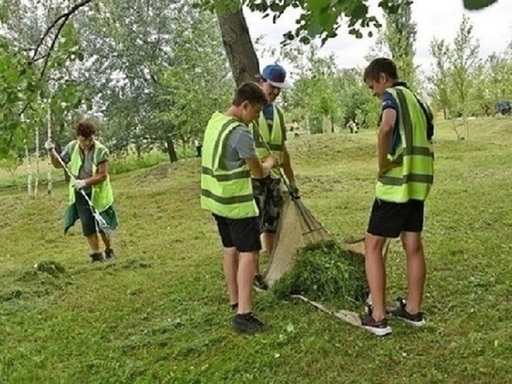 С начала года 41,3 тысячи белгородских подростков нашли подработку