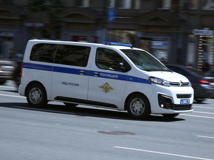 Житель Подмосковья прогулялся по столице с боевым самурайским мечом