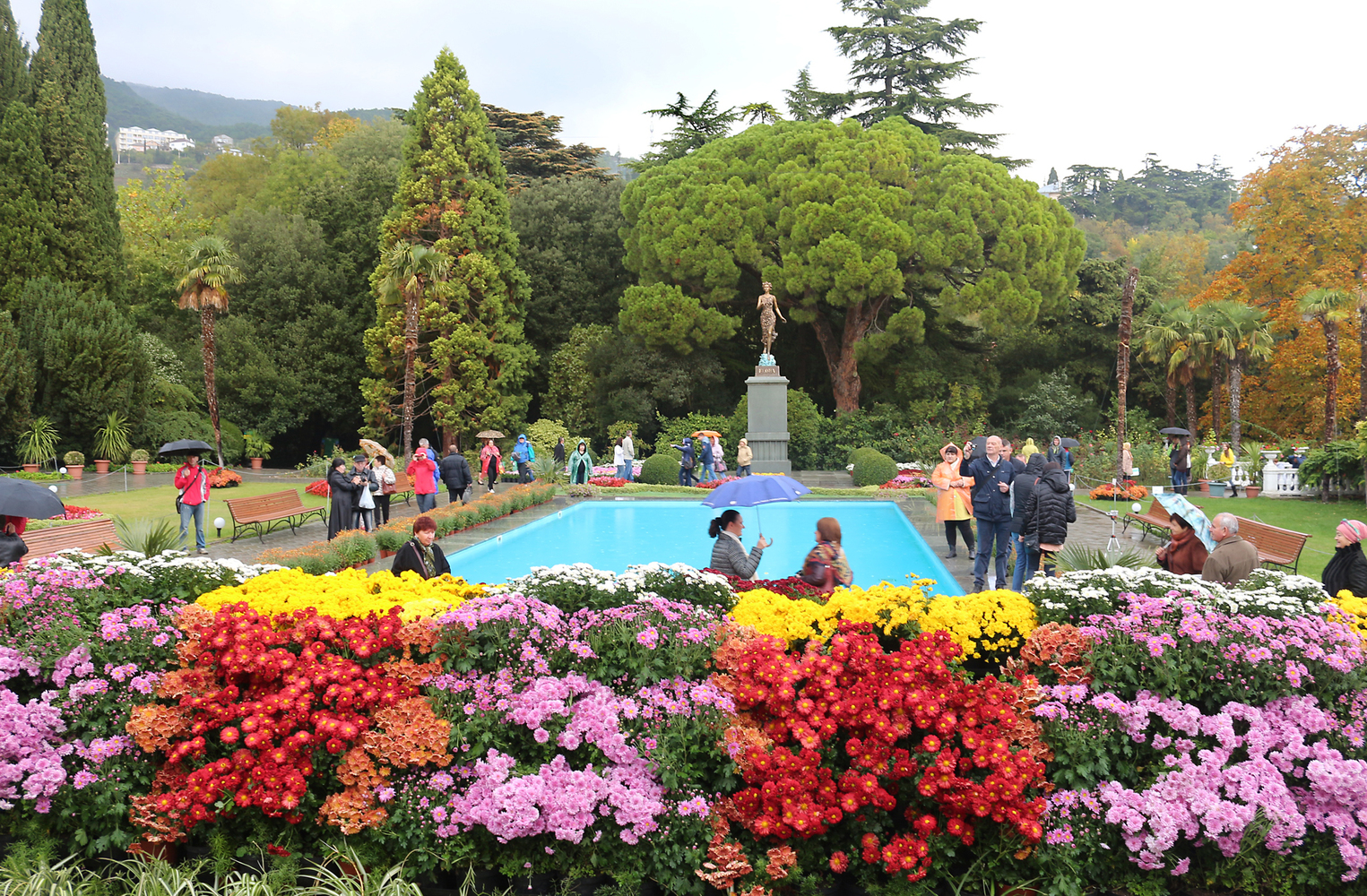 Бал хризантем: главный парад цветов Никитского ботанического сада