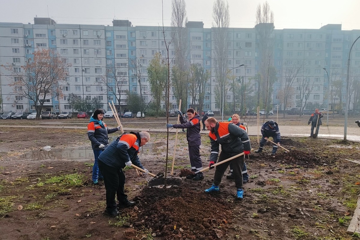 Парк Энергетик Балаково. Парк Энергетик Балаково фото.