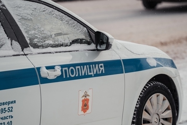 В Тверской области задержали подозреваемых в разбойном нападении на пенсионерку