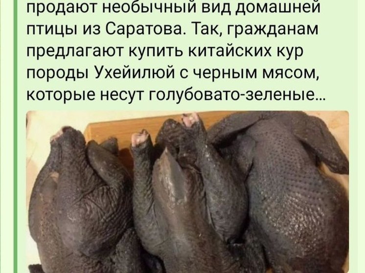 800 рублей за килограмм: в Саратове продают чёрное куриное мясо и зелёные яйца