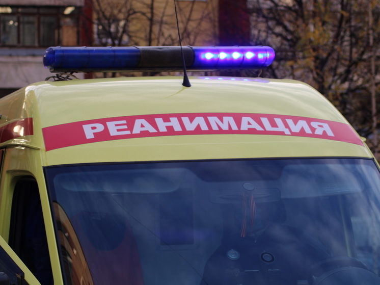 СК возбудил дело после травмирования ребенка в тульском ТРЦ «Макси»