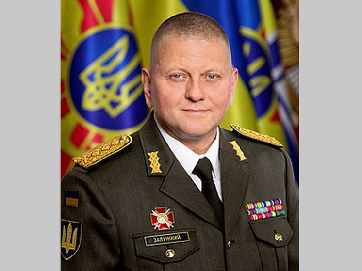 Главком ВСУ пожаловался на ограниченные возможности по подготовке резервов