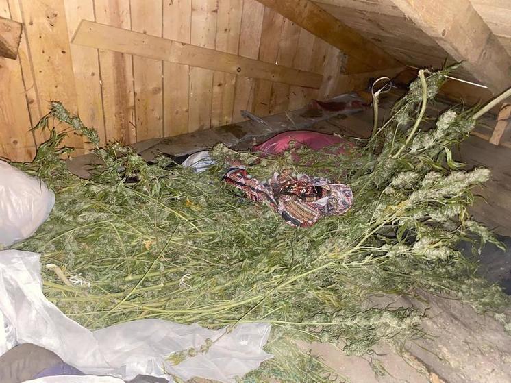 Полиция обнаружила более 2 кг наркотиков у жителя Сахалина