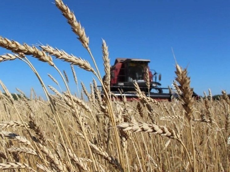 Экспорт сельхозпродукции в Калужской области вырос в 3,3 раза