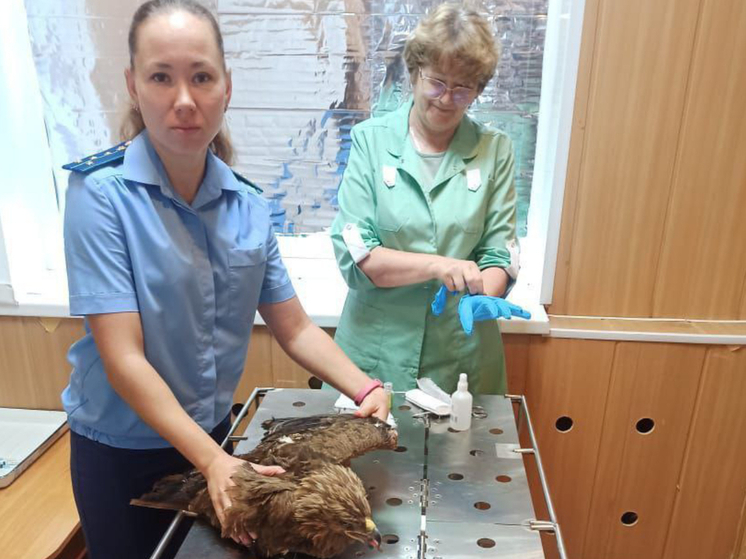 В Омской области спасли редкую краснокнижную птицу