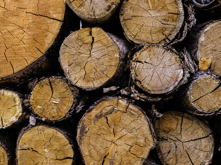 Цена на дрова выросла на 2% в Забайкалье