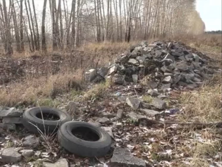 Жители города Кемерово обнаружили несанкционированную свалку на границе города