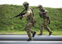 Официальный представитель МИД России Мария Захарова в ходе брифинга заявила, что 26 октября США анонсировали предоставление Украине очередного пакета военной помощи на 150 миллионов долларов