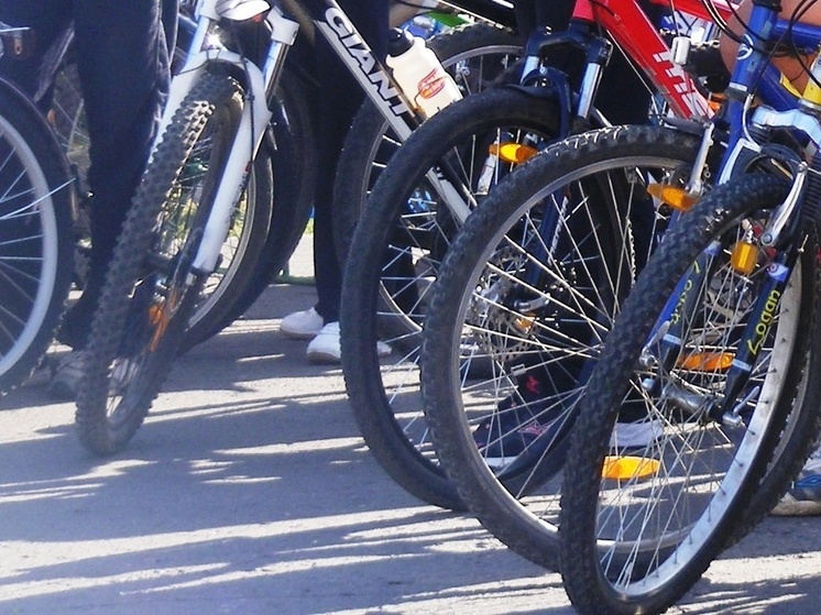 Стартовал прием заявок на участие в Кубке губернатора Вологодской области по триатлону