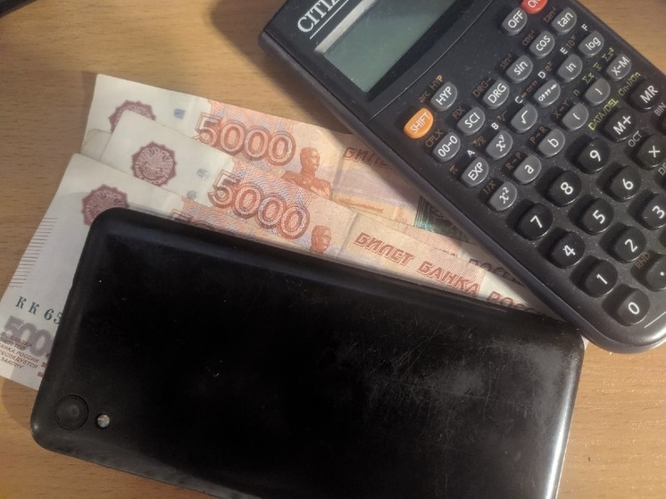 Долги по алиментам жительница Никольска оплатила с чужой банковской карты