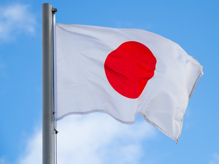 Nihon Keizai: Япония может лишиться важных ресурсов из-за антироссийских санкций