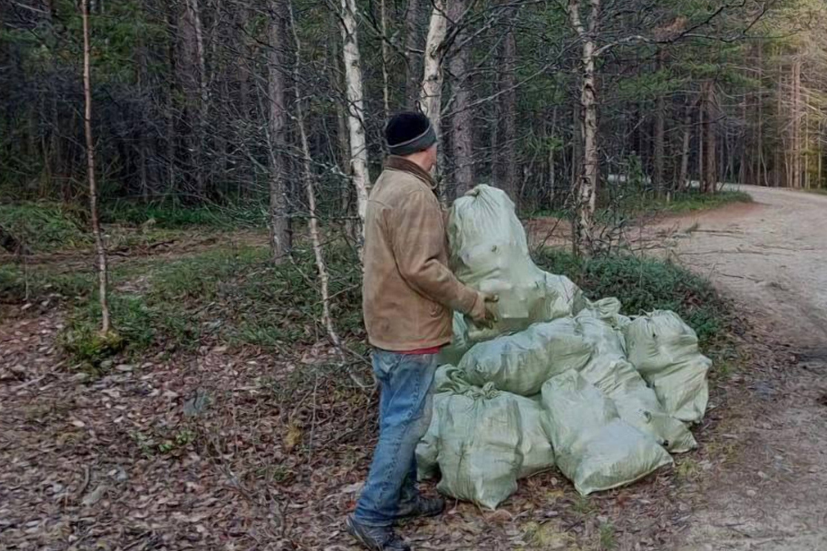 Более 60 кубометров мусора вывезли из Кандалакшского участкового лесничества