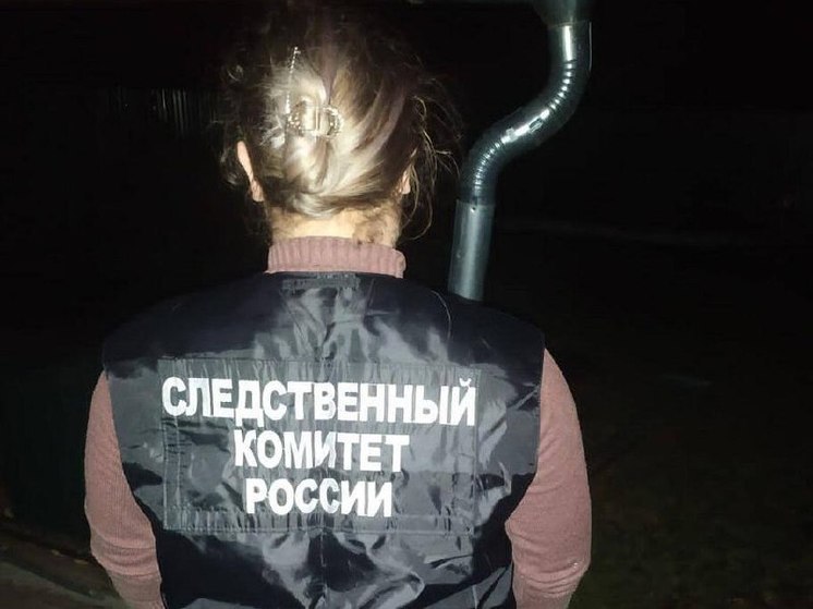 В Воронежской области 33-летний рецидивист оглушил топором и изнасиловал 74-летнюю соседку по даче