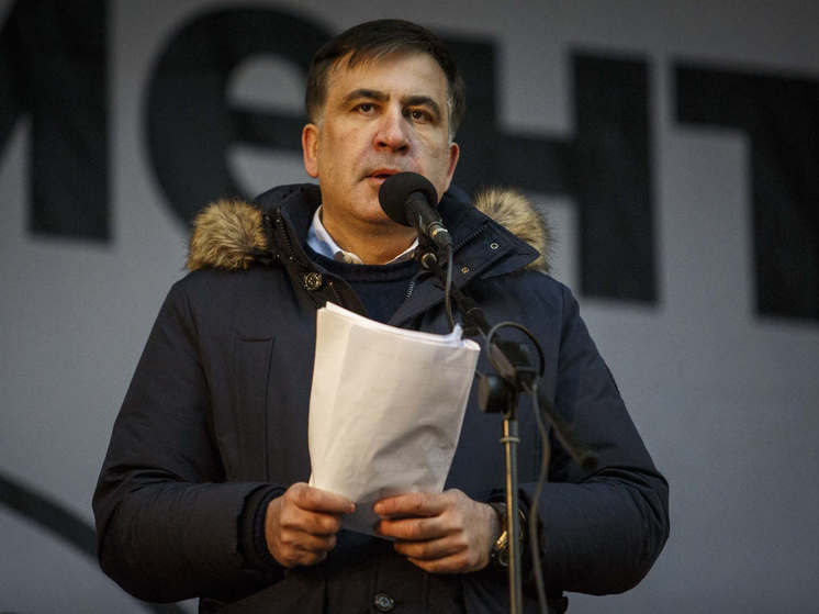 Глава МИД Польши Рау связал вступление Грузии в ЕС с Саакашвили