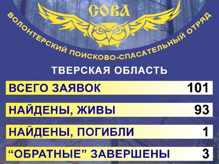 Волонтеры "Совы" рассказали о поисках в октябре: сколько потерялось людей