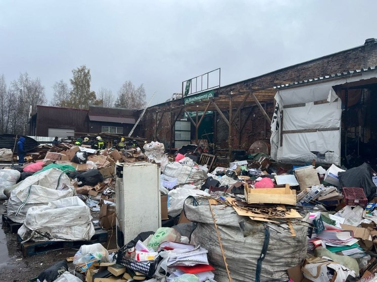 На складе вторсырья во Всеволожске произошел пожар