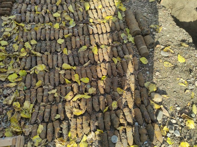 В Гулькевичском районе Кубани обнаружили около 500 боевых снарядов времен ВОВ