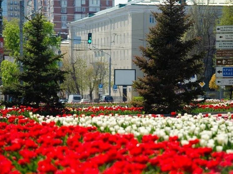 В честь юбилея в Ростове высадят один миллион тюльпанов