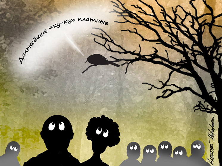 Коллекционер жизни