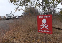 Украина заняла первое место в мире по количеству мин и неразорвавшихся боеприпасов, опередив Афганистан и Сирию