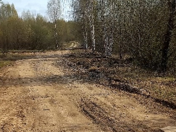 Перед судом предстанет глава сельского поселения Костромской области