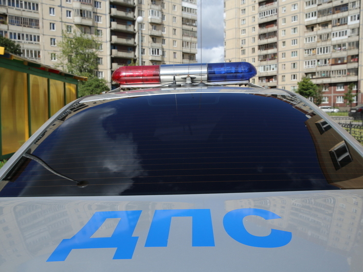 В Великом Новгороде доставили в спецпомещение пьяного водителя Mercedes