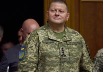 Ходаковский: отказ от наступления - это политическая смерть для президента Украины

