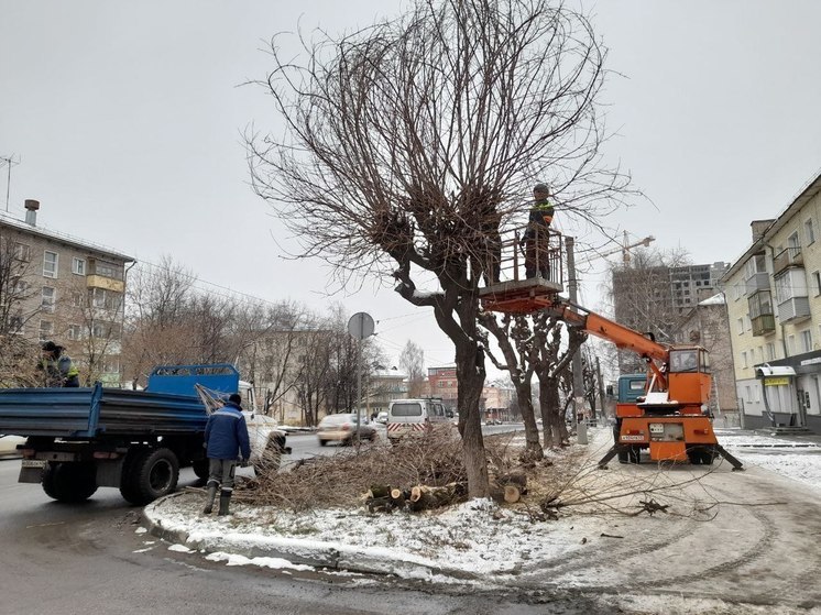 В Кирове проводится плановая осенняя обрезка деревьев