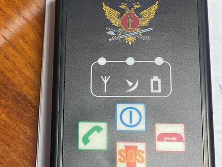В Красноярском крае женщина украла у знакомой прибор для контроля передвижений