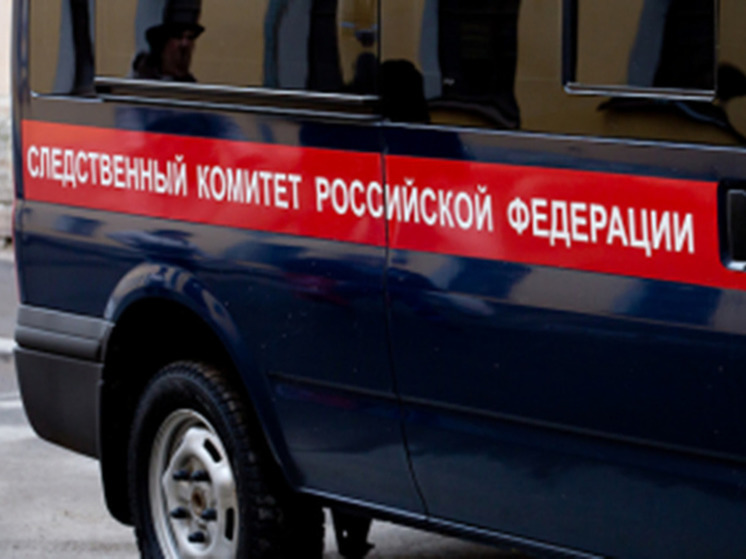 Глава СК Александр Бастрыкин поручил возбудить уголовное дело из-за строительства ЖК около братской могилы в Воронеже