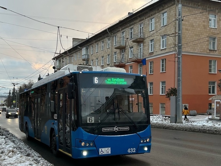 Троллейбусы на ноябрьских праздниках будут ходить реже в Петрозаводске