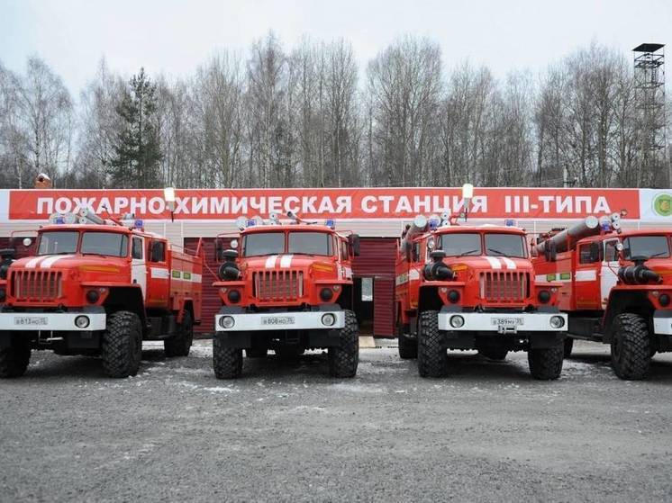 Подготовка к следующему лесопожарному сезону началась в Вологодской области