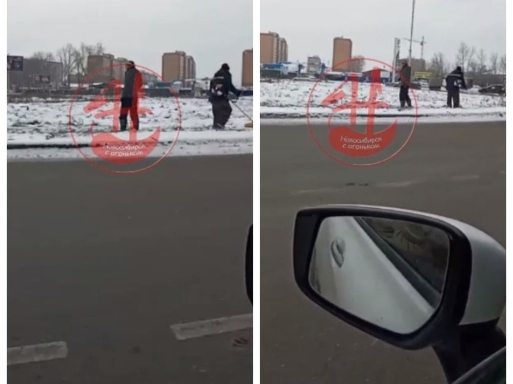 В Новосибирске рабочие косили снег вдоль дороги