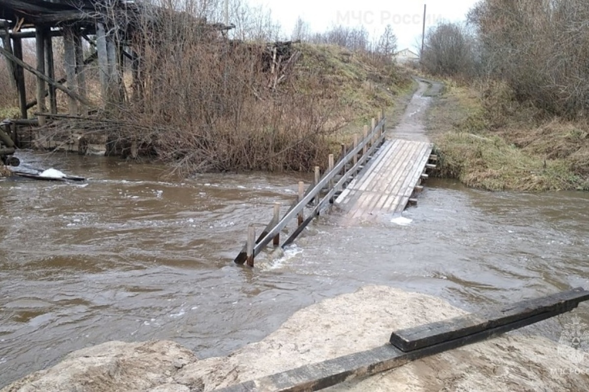 Костромские ЧП: двое детей едва не утонули в резко разлившейся реке Янге