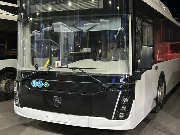 В Великий Новгород прибыли 15 новых автобусов
