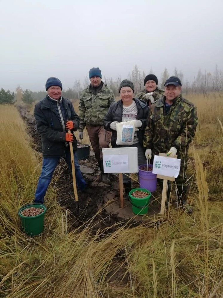 В Ливенском районе посеяли 35 кг желудей