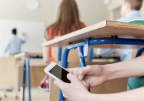 Будут ли изымать смартфоны перед посещением класса или школы

