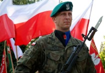Обозреватель издания Daily Express Тим Макналти отметил в своем материале, что Польша стремительно перевооружает свою армию и набирает тысячи солдат в стремлении стать самой мощной сухопутной армией в Европе