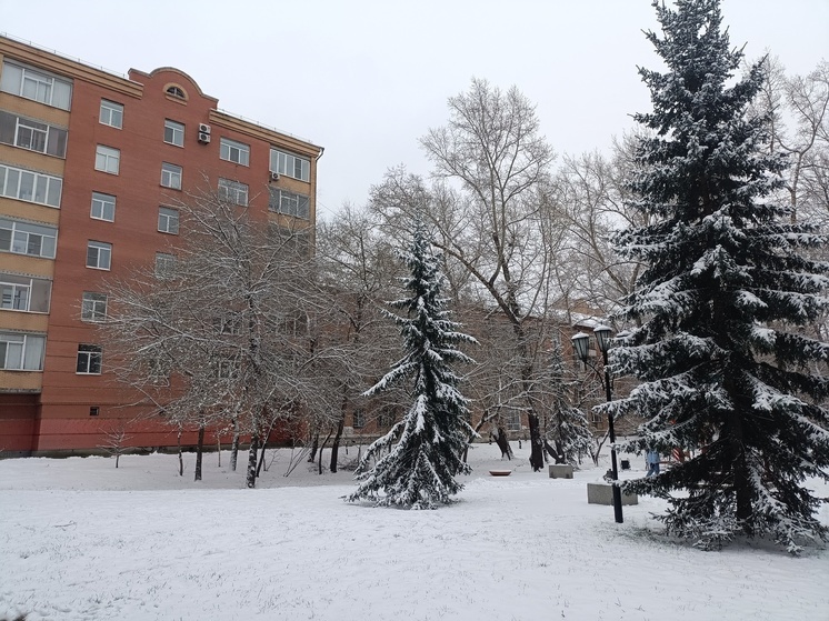 Снежная буря обрушится на Хакасию