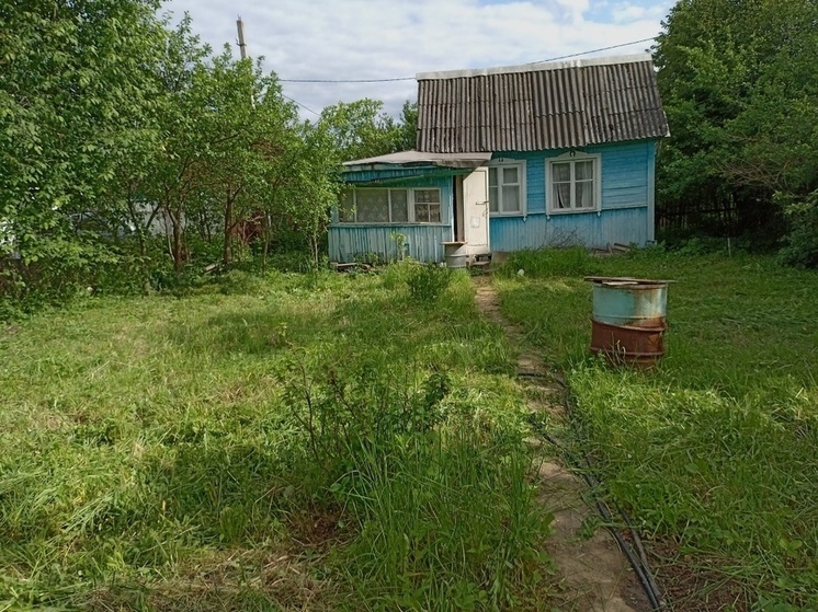 Туляков могут лишить дач в СНТ при неуплате взносов
