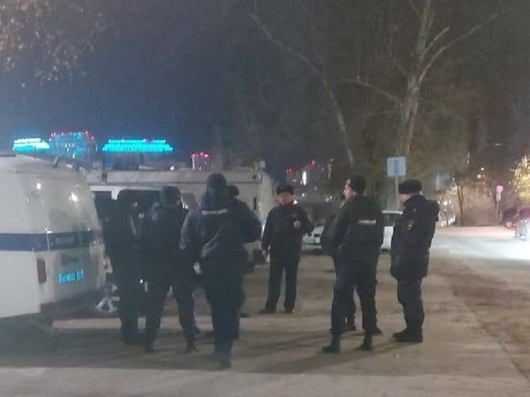 В ночь на 4 ноября в Рязани засняли автозаки и скопление полицейских
