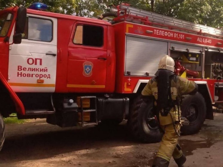 С начала года в Новгородской области зарегистрировано около 1600 пожаров