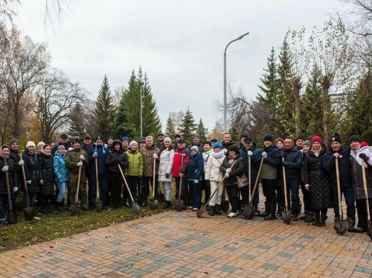 В парке Победы Челнов в день народного единства посадили 350 елей