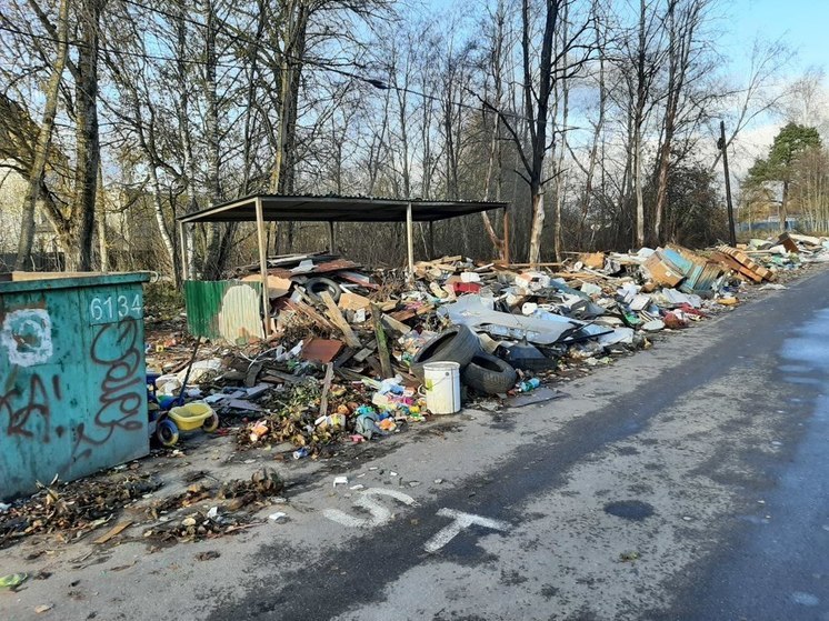 После встряски: Кингисепп подчистили от мусора, надолго ли